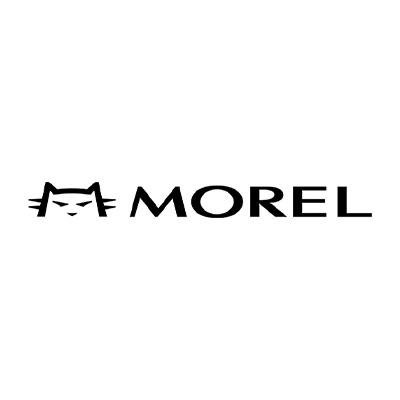 Morel